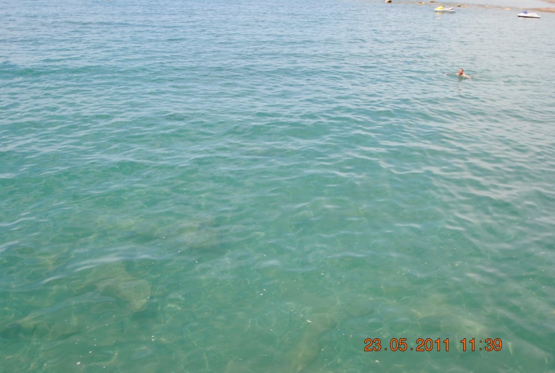 imagini hotel AMELIA BEACH RESORT SIDE